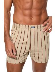 Abanderado - Boxer - 100 MIX CAFE PIEDRA